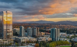 Essential Guide to Bellevue, WA: Where to Stay and What to Do in Bellevue, Plus How Our Limo Service Helps